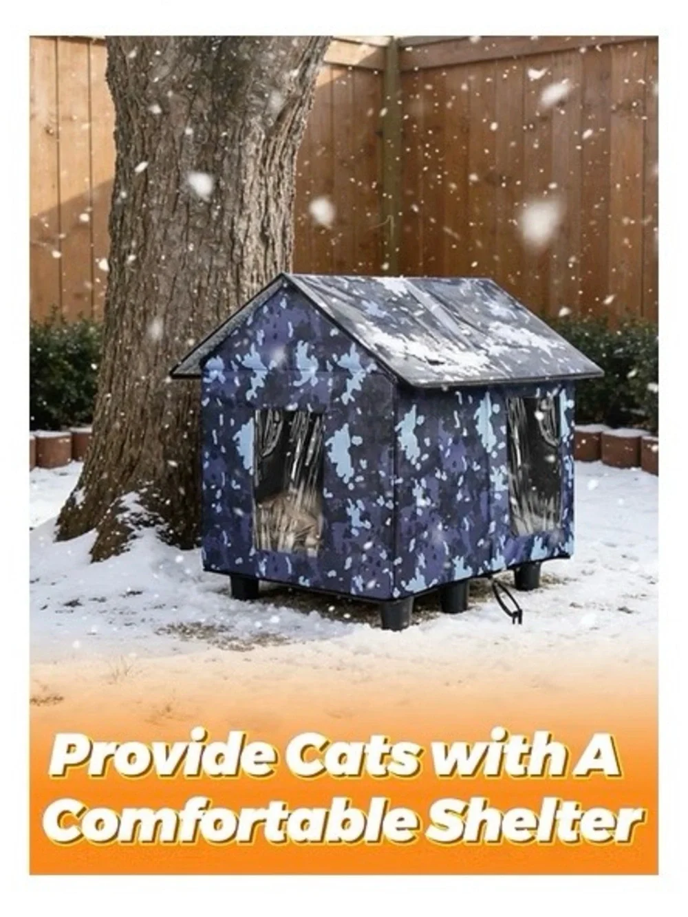 N/A outdoor cat